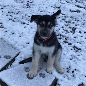 Meet your Posher, Julie